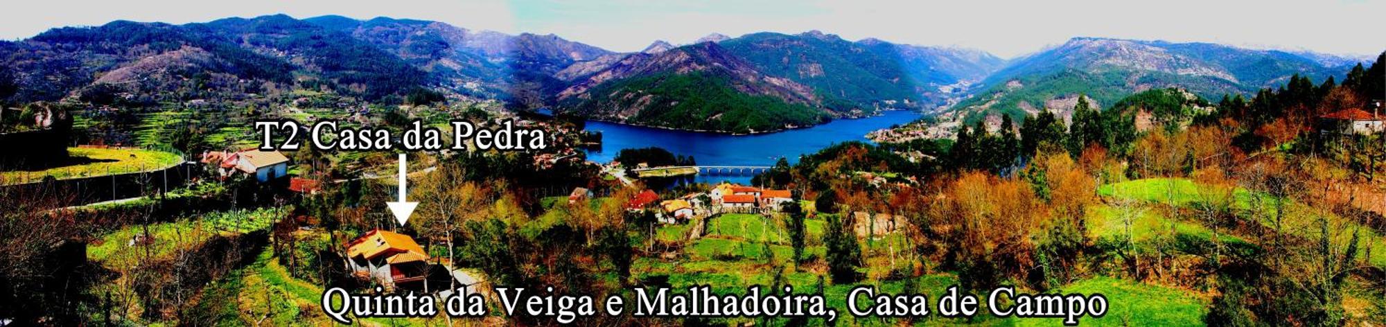 비에이라도미노 Quinta Da Veiga E Malhadoira 게스트하우스 외부 사진