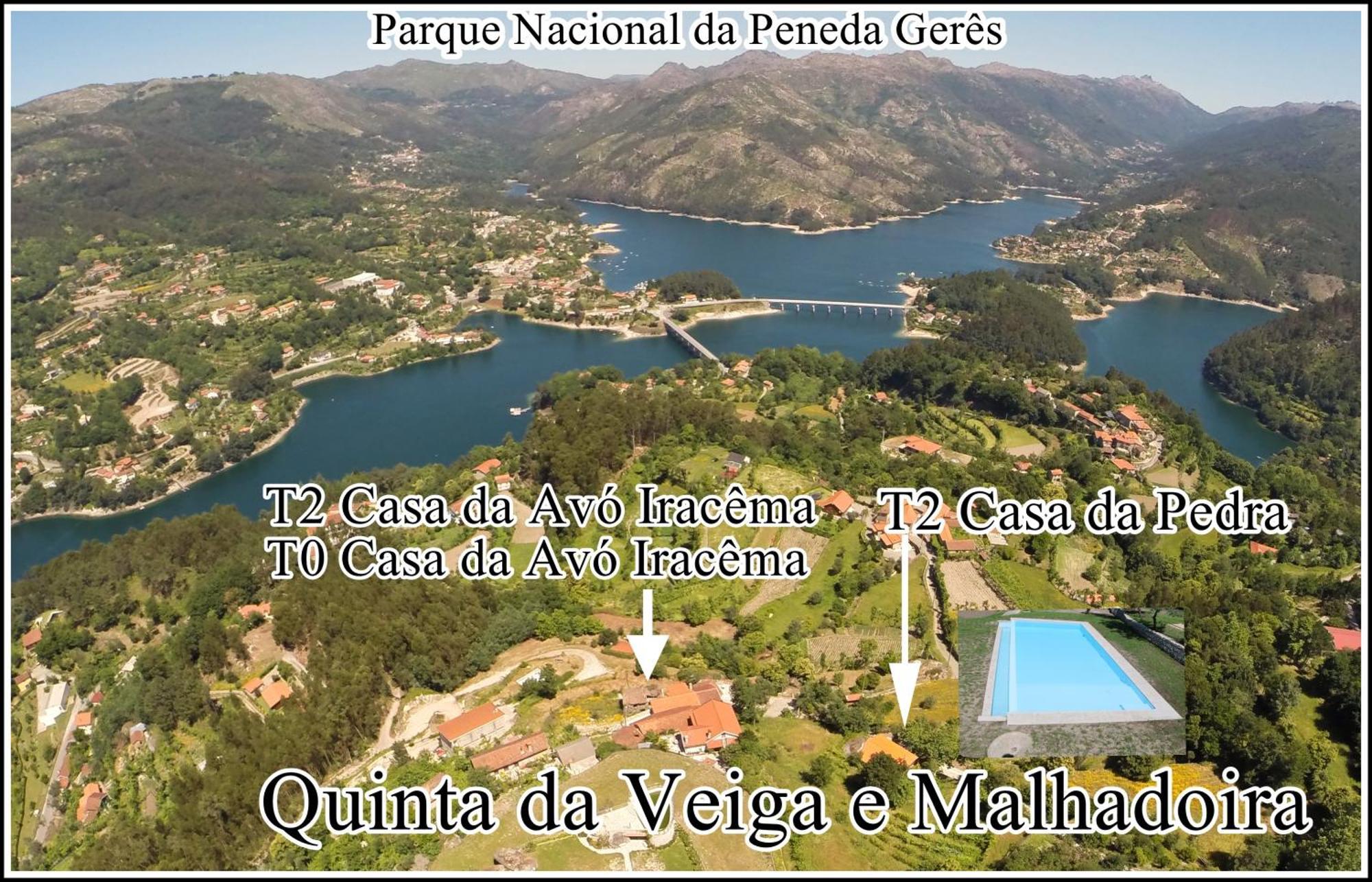 비에이라도미노 Quinta Da Veiga E Malhadoira 게스트하우스 외부 사진
