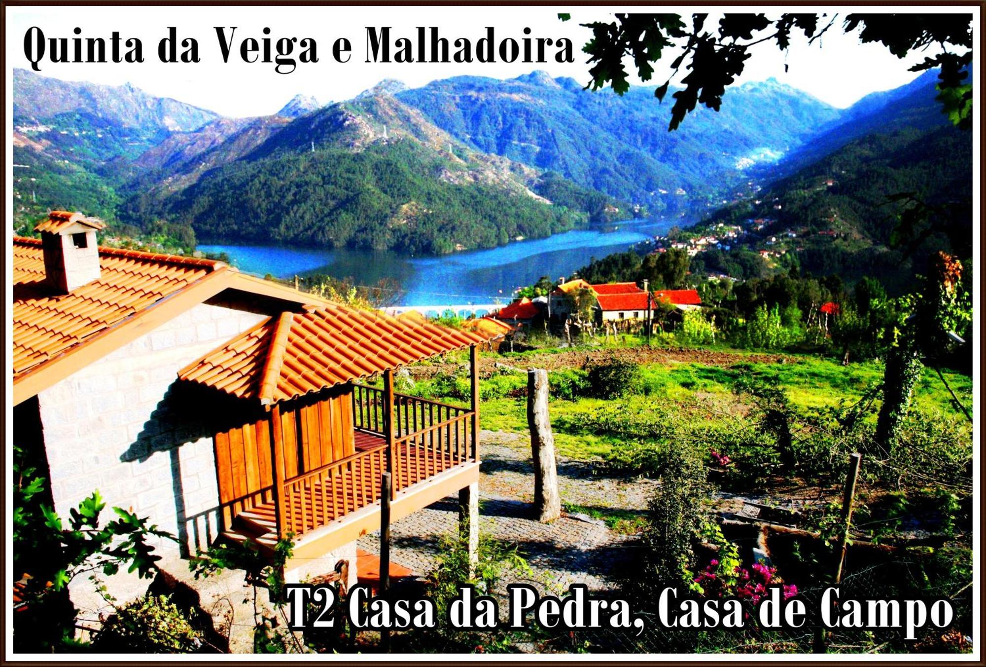 비에이라도미노 Quinta Da Veiga E Malhadoira 게스트하우스 외부 사진