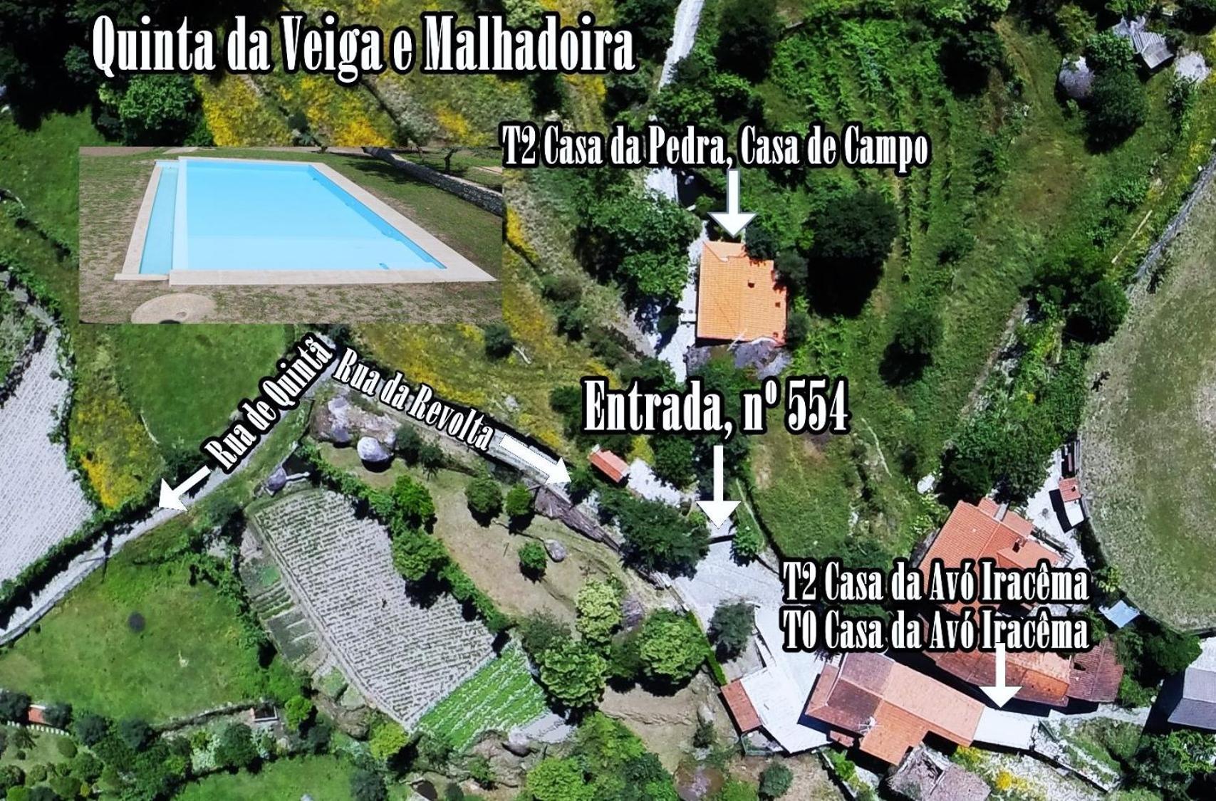 비에이라도미노 Quinta Da Veiga E Malhadoira 게스트하우스 외부 사진